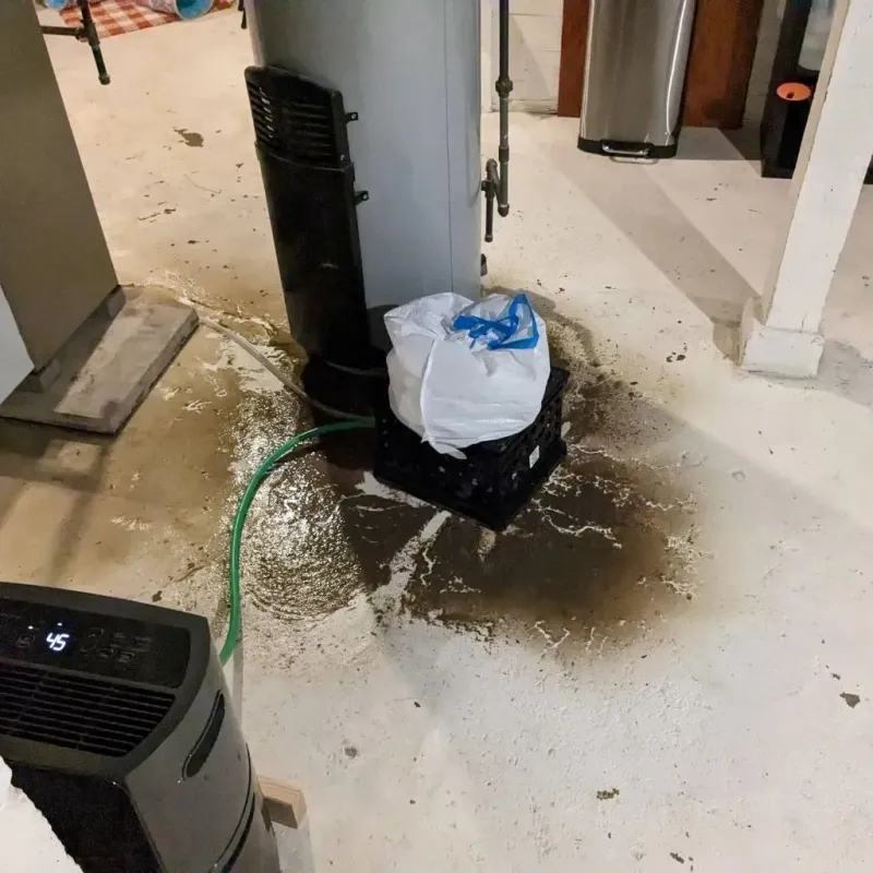 Sewage Backup Cleanup Service in Faxon, PA
